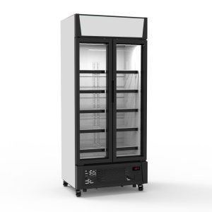 SC-607 Display Fridge 2-Door